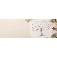 Decoración y recuerdos